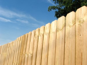 Why You Should Consider Pressure Washing Your Fence