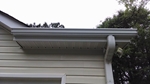 gutter cleaning newnan ga